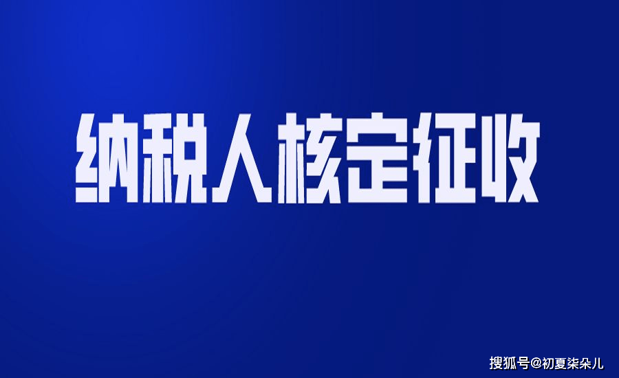 税收筹划节税(节税筹划案例与实操指南)