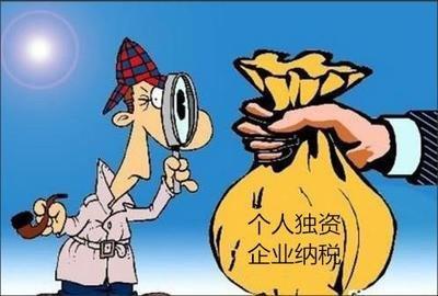 个人独资企业的税收筹划(个人独资 企业非法人)