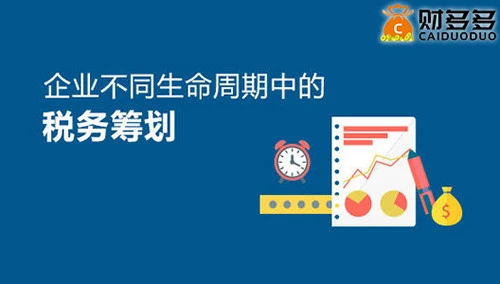 咨询公司的税务筹划(公司吊销了税务还会查公司吗)(图1)