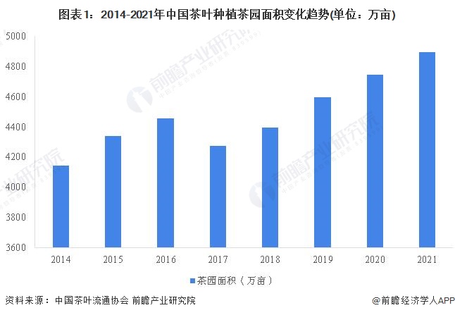 茶叶上市公司(什么茶叶都在什么季节上市)(图3)