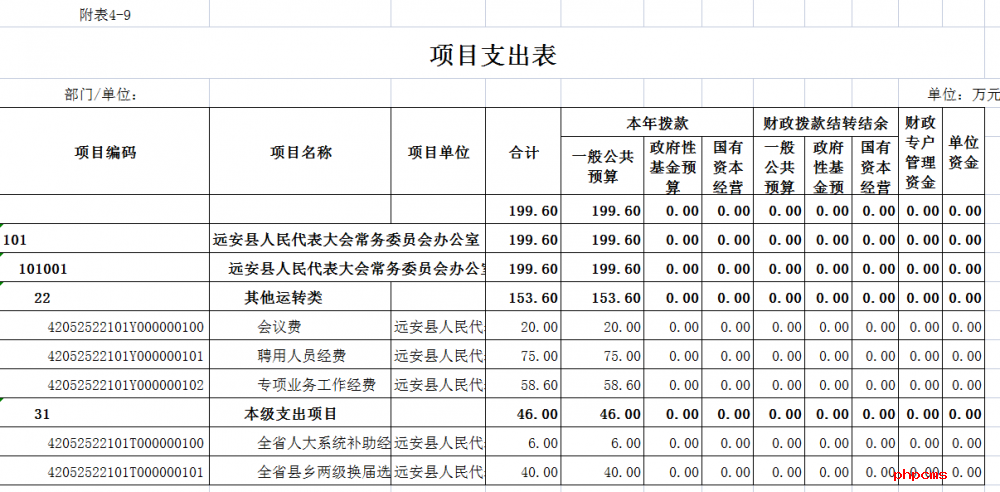 预算管理(预算管理和业绩管理)