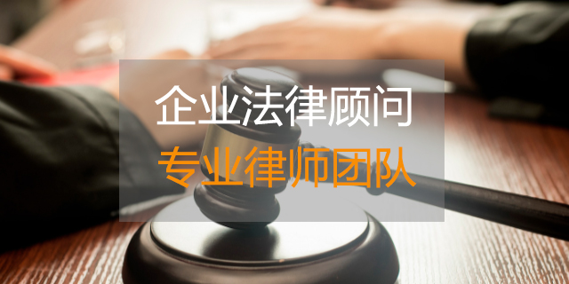 为政府提供常年财务顾问(为中小企业提供财务管理咨询)